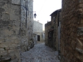 P1030535