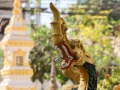 IMG_5079