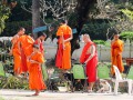 IMG_5081