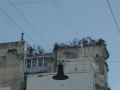 P1370706