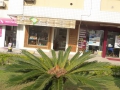 P1200441