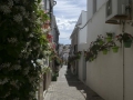 P1100564