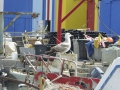 P1060343