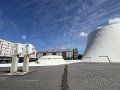 IMG_8767