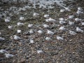 IMG_1863