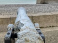 IMG_2521