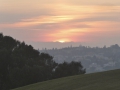 P1190239
