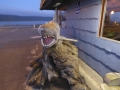 P1140088