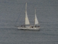 P1100415