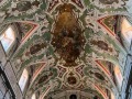 IMG_3542