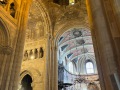 IMG_3575