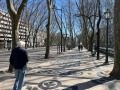 IMG_3642