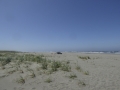 P1140360