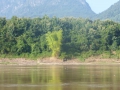 P1080014