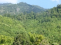 P1080041