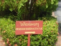 P1070613
