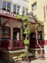 IMG_8535