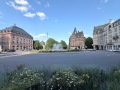 IMG_8542