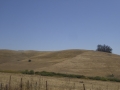 P1130686