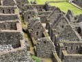IMG_7178