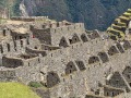 IMG_7182