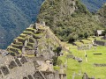 IMG_7184