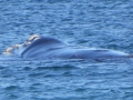 P1060843