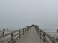 P1160249