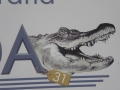 P1160266