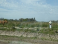 P1170789