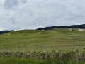 IMG_8611