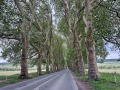 IMG_8617