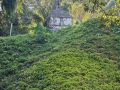 IMG_8220