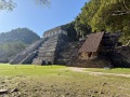 IMG_8224