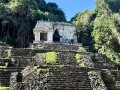 IMG_8225