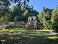 IMG_8226