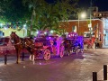IMG_8265