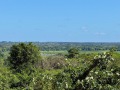 IMG_8271