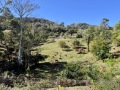 IMG_8276