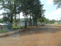 P1190118