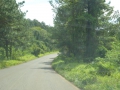 P1190126
