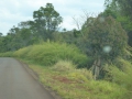 P1190141