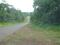 P1190155