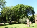 P1180647