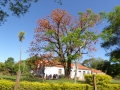 P1180654