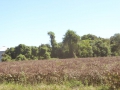 P1180460