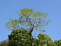 P1180832
