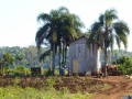 P1190042