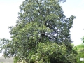 P1020204