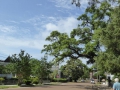 P1120491
